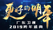广东卫视更好的明年跨年演讲