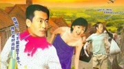 青山绿水红日子-电视剧-全集高清正版视频-爱奇艺