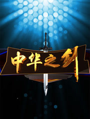 中华之剑2012