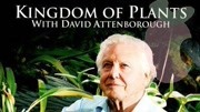 BBC：植物王国