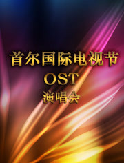 首尔国际电视节OST演唱会