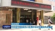 中央省市媒体赴东川区集中采访吴国良先进事迹资讯高清正版视频在线观看–爱奇艺