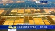 江北最大的海盐生产基地——滨州北海资讯高清正版视频在线观看–爱奇艺