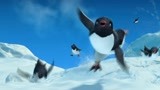 波波带着阿德兰企鹅们在雪地里冲浪