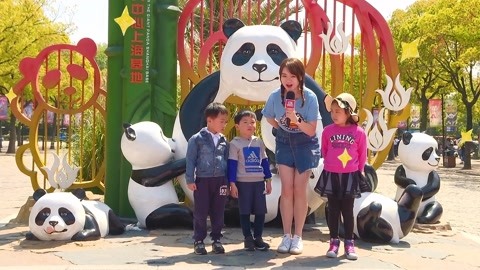 熊猫宝宝的家园野生动物园