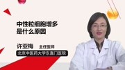 中性粒细胞增多是什么原因健康高清正版视频在线观看–爱奇艺