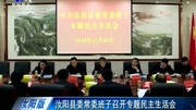 汝阳县委常委班子召开专题民主生活会资讯完整版视频在线观看爱奇艺