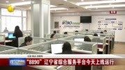 ＂8890＂辽宁省综合服务平台今天上线运行资讯搜索最新资讯爱奇艺