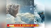 今日小寒:踏雪寻梅时静待一分春资讯搜索最新资讯爱奇艺