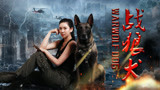《战狼犬》退役警犬意外成为流浪狗，又如何凤凰涅磐的感人故事！