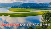 草蜢  流泪的背影 MTV 超清 超美 经典音乐背景音乐视频音乐爱奇艺