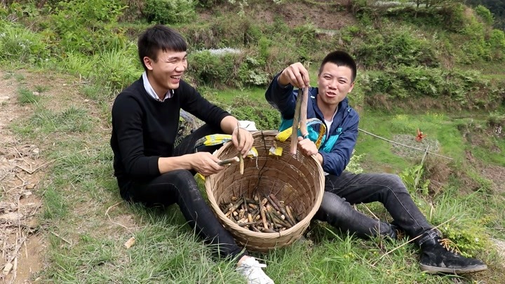 农村两兄弟又来山上搞野,两个人找到这么多,回家怎么做好吃呢?