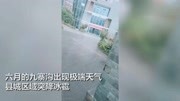 九寨沟6月突降冰雹极端天气 市民:脚都打肿了资讯高清正版视频在线观看–爱奇艺