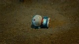 绝世高手：这个人说，谁要敢骗我，我就打死他