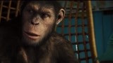 猩球崛起：小猩猩见爷爷受欺负，大显神威揍坏蛋，真解气！