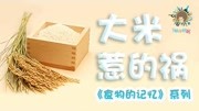 《食记》第4集 大米惹的祸生活完整版视频在线观看爱奇艺