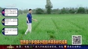 多倍体水稻:“超级稻”之后又一“水稻革命＂军事高清正版视频在线观看–爱奇艺