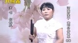 胡银花 河南坠子《刘公传奇》第五部 第十段 井照鑫