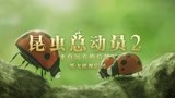 《昆虫总动员2—来自远方的后援军》上海专场