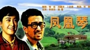 凤凰琴