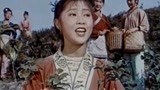 怀旧经典，刘三姐插曲：《采茶歌》，经典老歌，百听不厌！