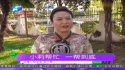 小莉帮忙,一帮到底!深入民生第一线,帮你解决心头所急资讯搜索最新资讯爱奇艺