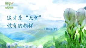 Watch the latest The Journey of Chinese Plants Episode 1 (2019) online with English subtitle for free English Subtitle