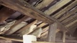 《梦想改造家第4季》木的梁柱已经有虫的腐蚀  房体要做一下加固