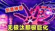 河马哥解说