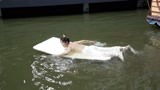 花絮 ：赵错片场沙雕日常