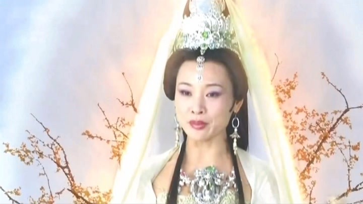 浙版西游记:得到观音的教诲,悟空知道错了,直接跪在地上道歉