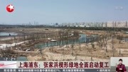 上海浦东:张家浜楔形绿地全面启动复工资讯搜索最新资讯爱奇艺