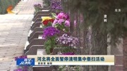 河北将全面暂停清明集中祭扫活动资讯搜索最新资讯爱奇艺