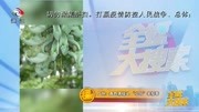 广州:春色满枝头“小鸟”来报春资讯搜索最新资讯爱奇艺