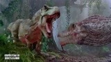 侏罗纪公园3：陆上霸主争夺战！霸王龙决战棘龙，照面本扭断脖子