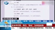 农业农村部:狗已“特化”为伴侣动物资讯搜索最新资讯爱奇艺