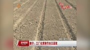 睢宁:工厂化育秧节本又高效资讯搜索最新资讯爱奇艺