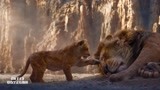 狮子王：木法沙被刀疤迫害，小辛巴被迫长大复仇，成为狮子王！