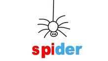 spider 蜘蛛