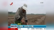  山东曹县:洁白芦笋土中藏资讯搜索最新资讯爱奇艺