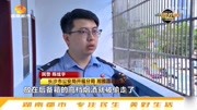 豪车深夜遭暴力砸窗,车内万元烟酒被洗劫一空,监控拍下全过程资讯搜索最新资讯爱奇艺