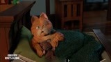 加菲猫：欧弟竟敢爬上床睡，加菲猫吃醋：我都没这待遇！