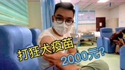 成都小哥被狗咬了,打狂犬疫苗需要2000多元,是不是被坑了?原创完整版视频在线观看爱奇艺