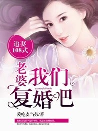 追妻108式：老婆，我们复婚吧