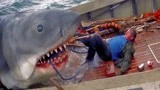 大白鲨：大鲨鱼一跃而起，一嘴竟把船长活吞了，太吓人