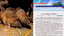 內蒙古包頭出現鼠疫死亡病例 35人被緊急隔離