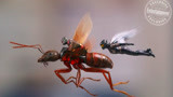 漫威力作《蚁人2：黄蜂女现身》北美正式预告片