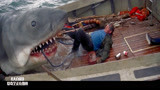 大白鲨：大鲨鱼水中一跃而起，一嘴竟把船长给活吞了！
