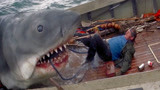 大白鲨：巨型鲨鱼跳出水面，一张嘴连船长都活吞了！