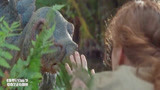 侏罗纪公园：零距离接触恐龙，这胆子真是太大了，出手摸一摸！